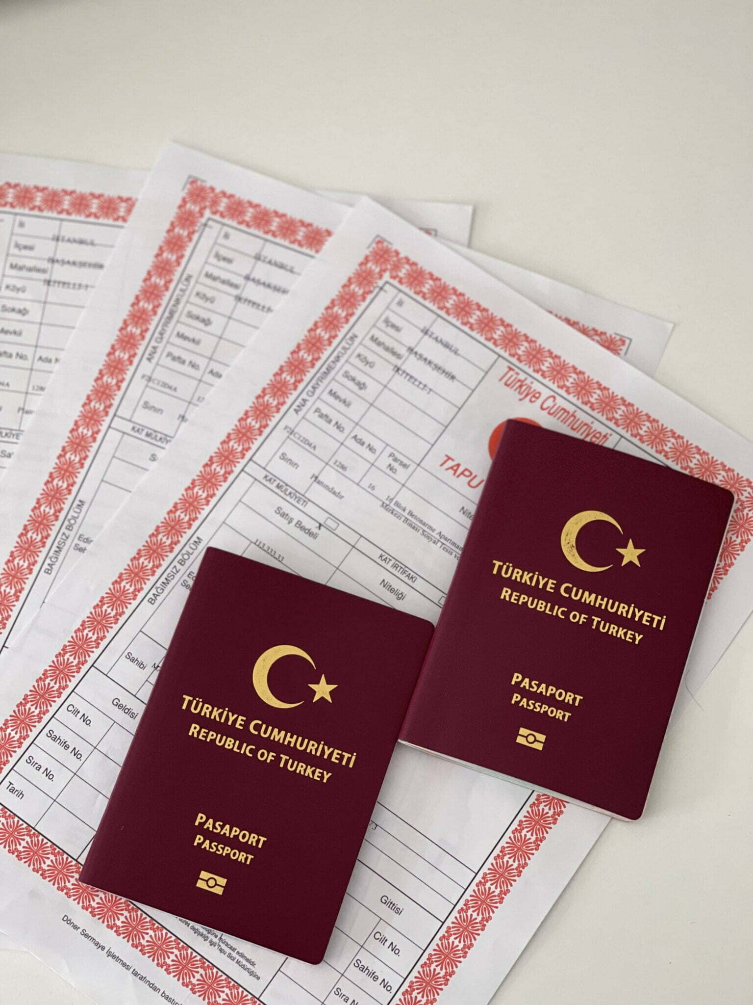 Turkish Citizenship New Law
